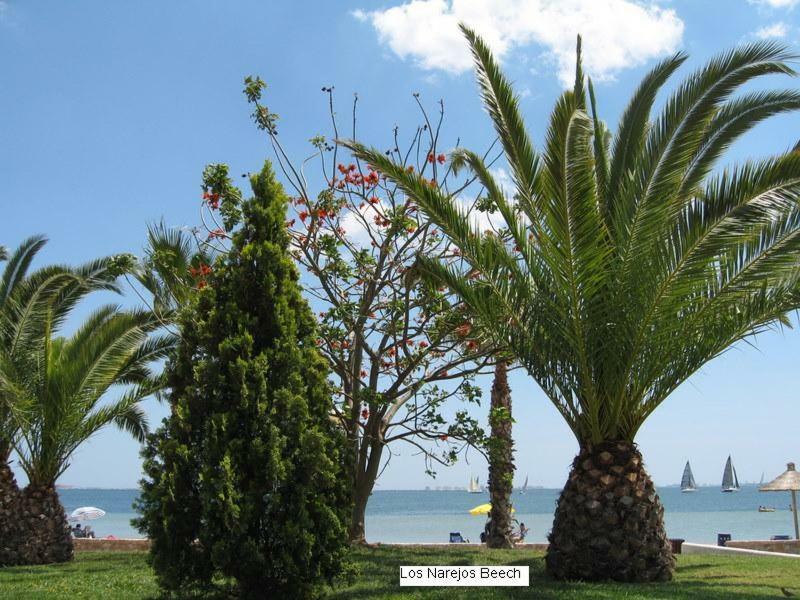 Beautiful 1 Bedroom Apartment In Roda, Los Alcazares. Larger Than Average. Eksteriør billede